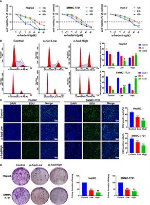 α-Hederin Inhibits the Proliferation of Hepatocellular Carcinoma Cells via Hippo-Yes-Associated Protein Signaling Pathway